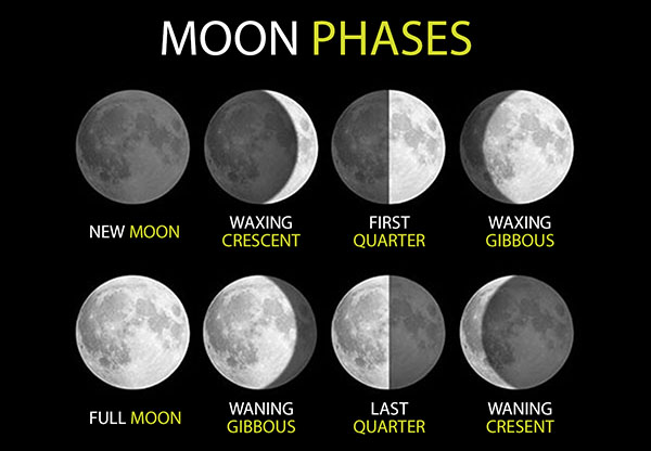 Moon Phases