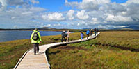 Claggan Mountain Boardwalk