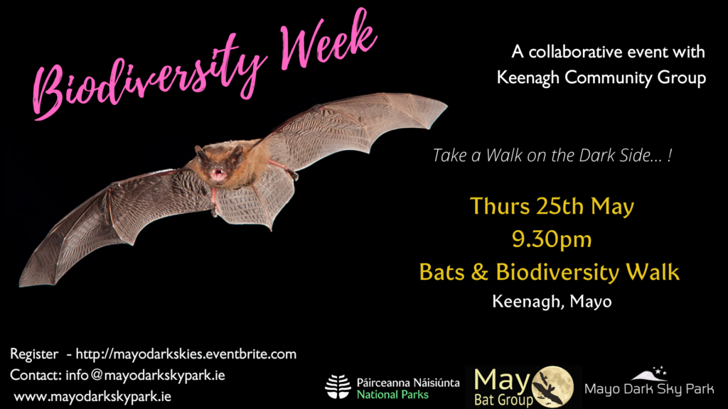 Bat Walk Flyer