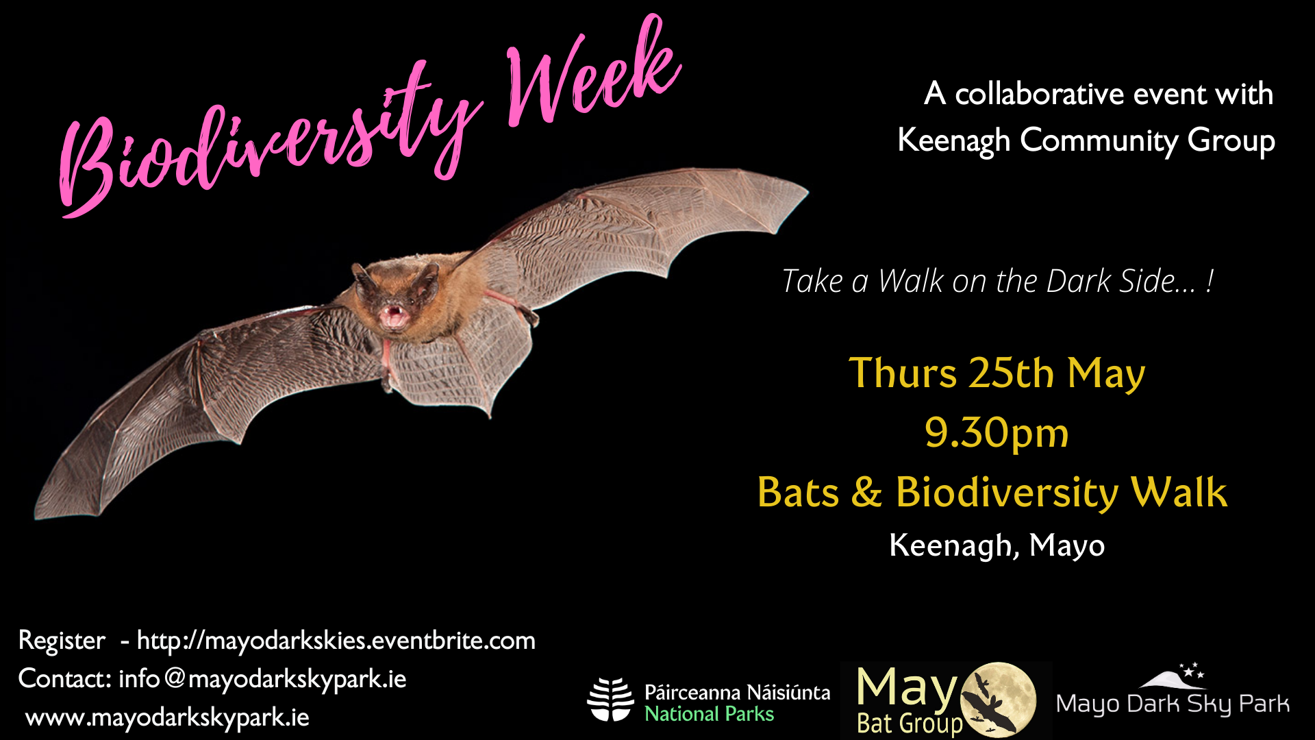 Biodiversity Week – Bat Walk 25th May – Keenagh