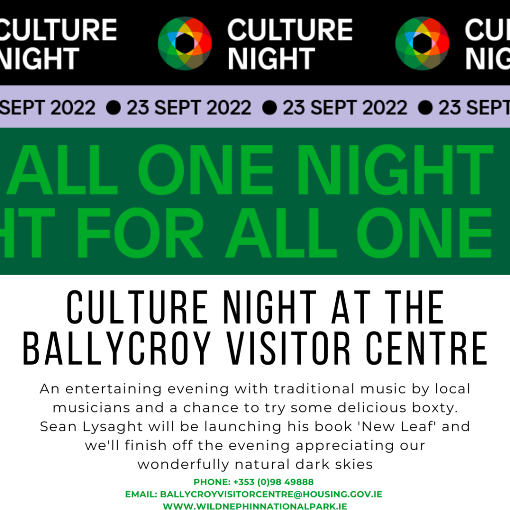 Culture Night Flyer